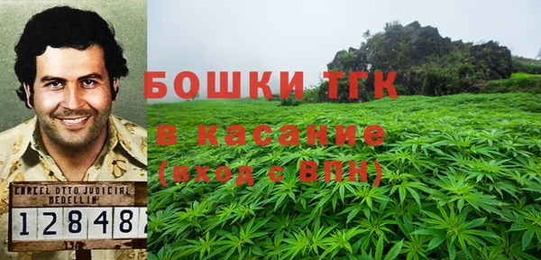 ПСИЛОЦИБИНОВЫЕ ГРИБЫ Алексин