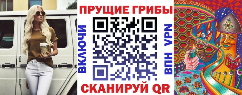 Псилоцибиновые грибы MAGIC MUSHROOMS  ссылка на мегу вход  Катайск  купить наркотики цена 